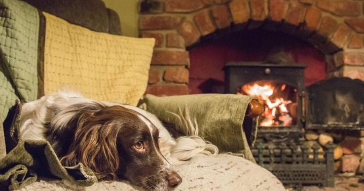 Safety Check: Fireplace and wood stove safety