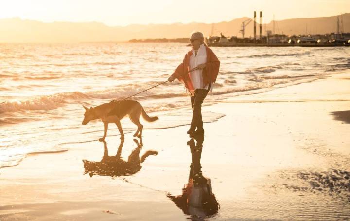 Unsure of where to tree change? Here's how to know without paying a cent in rent