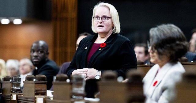 Veterans Affairs minister 'respects' independence of court in poppy ban decision