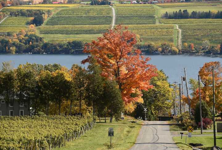 Seneca Lake's first winery: Glenora Wine Cellars under new ownership