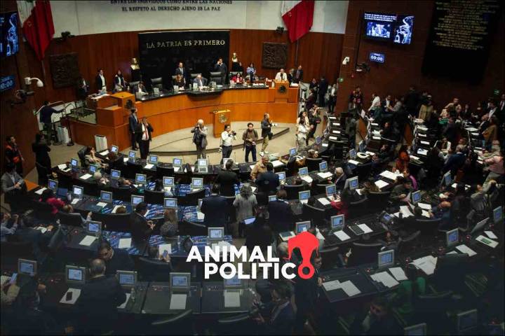 Senado aprueba sanciones a funcionarios que se metan en decisiones sindicales