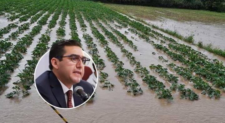 Lluvias en Hidalgo afectaron 30 mil hectáreas de cultivos, señala Sedagroh