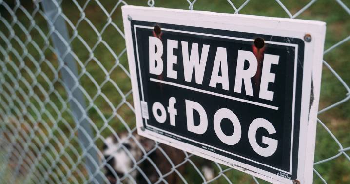 Child recovering, in stable condition after violent incident with dog in Lauderdale County