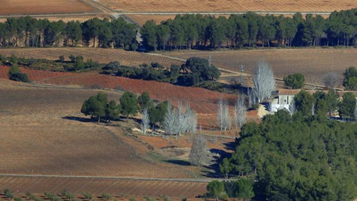 Vinya Alforí: un paseo por el Peller que resume dos siglos de historia del vino valenciano