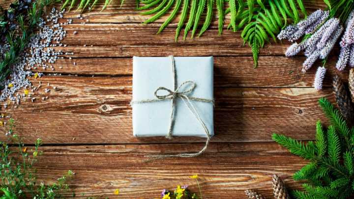 Holiday gardening gift ideas from the KSL Greenhouse team