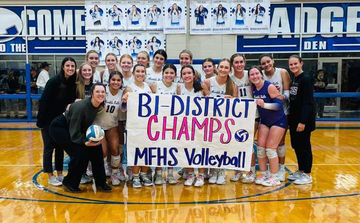 Lady Stangs win first round of playoffs
