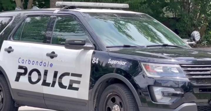 Juvenile suspects in Carbondale shooting face charges, one hospitalized