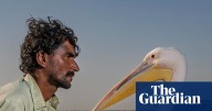 The bird people of Lake Manchar: surviving in a vanishing oasis