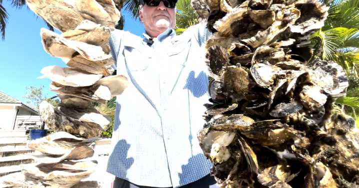 Oyster shells from Palm Beach County restaurants helping restore Lake Worth Lagoon