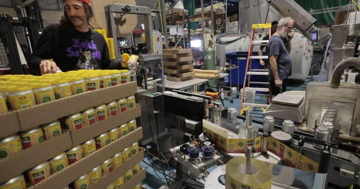 St. Louis businesses braced for disaster after hemp ban law