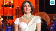 Priyanka Chopra wins hearts as she obliges paparazzi with pictures. Watch