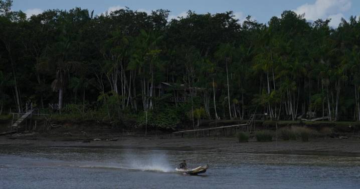 Railway project in the Amazon raises questions over Brazil's efforts to stop deforestation