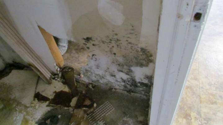 'Deliberate and ongoing failures' | Landlords at Indy apartment complex have failed to address over 130 health code citations, lawsuit alleges