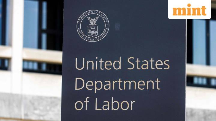 US Jobs report: Labor Department won't release full October data