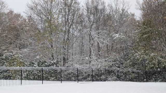 Snowfall totals: How much snow fell in your area?