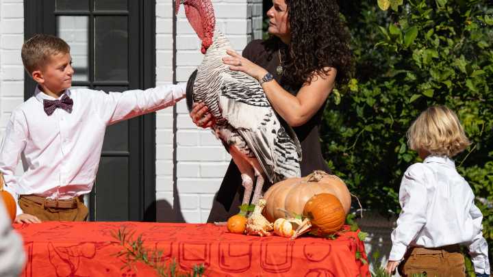 Tate Reeves issues 4th annual turkey pardon for special bird