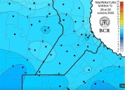 “Comparables al sudeste bonaerense”. El trigo se salvó del frío y se encamina para hacer historia