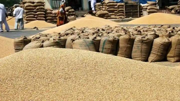 India likely to allow export of 5 lakh metric tonnes of organic wheat
