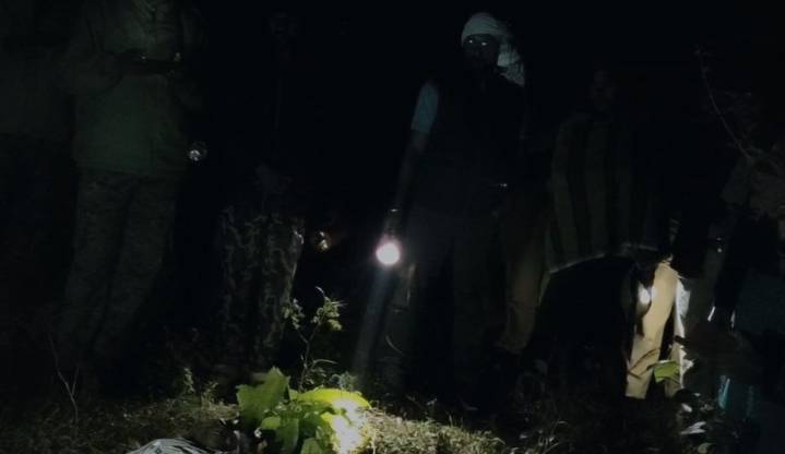 Man trampled to death by wild elephant in Odisha’s Mayurbhanj