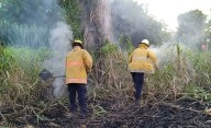 A diario se registran hasta dos incendios “de alerta” en Tucupita