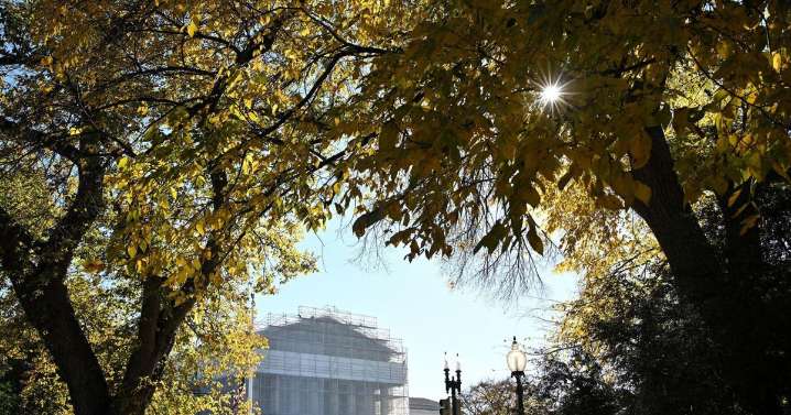 Supreme Court bars Trump from firing Library of Congress official