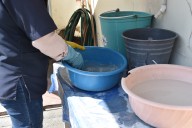 Destaca SSO disminución de más del 90% en casos de dengue