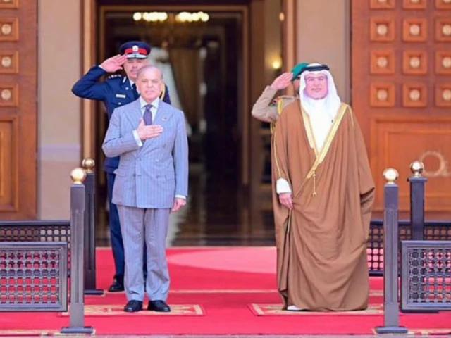 Pakistan, Bahrain set sights on US$1b trade target