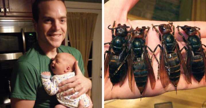 Father And Son, 15, Lose Their Lives In A Tragic Incident While Zip