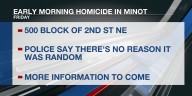 Early morning homicide in Minot