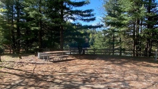 Most popular Michigan state park campsites by occupancy nights, rates