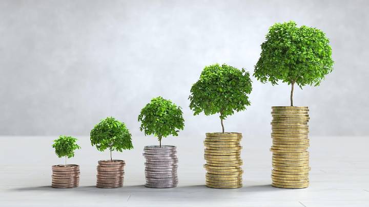 Meghmani Organics Q2 Results: Company Swings To Profit, Revenue Rises