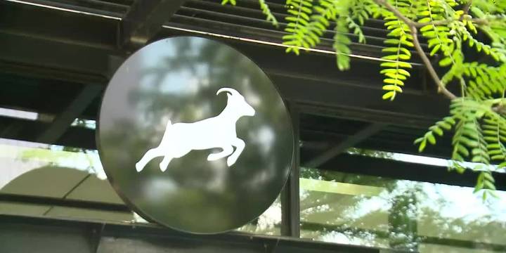 Kaldi’s Coffee named best coffee chain 2025; workers rally to unionize