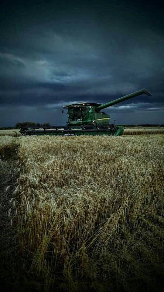 LA VOZ DE UN GIGANTE DORMIDO. MARCHA POR EL CAMPO.