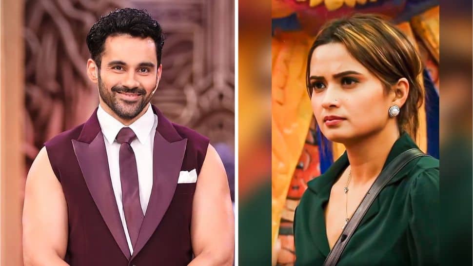 Bigg Boss 19: Abhishek Bajaj And Neelam Giri EVICTED From Salman Khan’s Show