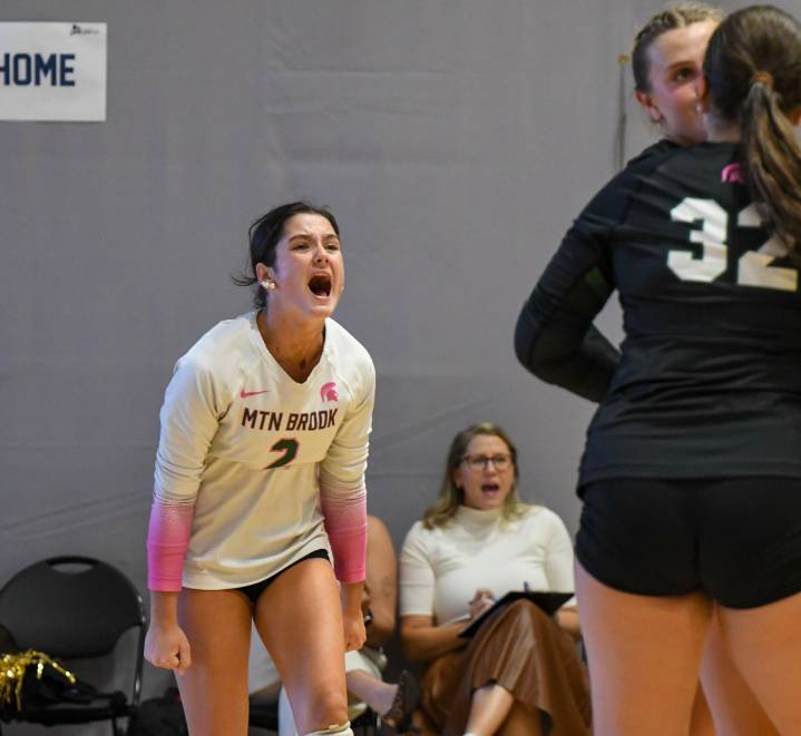 All-South Metro Volleyball: Sullivan Lell named Defensive Player of Year