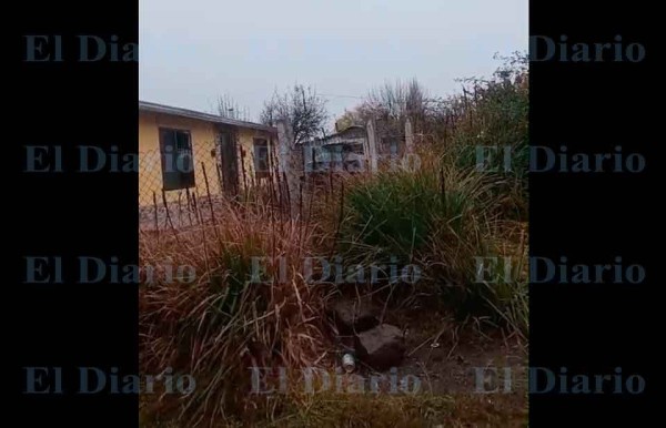 Video.- Caen primeras plumas de nieve en El Vergel