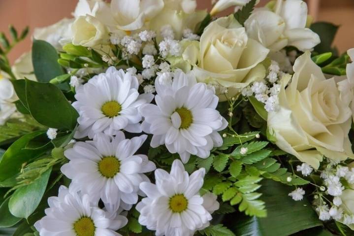 OBITUARY: Peyton McKenzie Owens