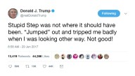 Trump Takes To Twitter To Viciously Attack White House Step He Stumbled Over