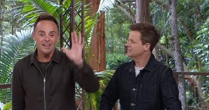 I'm A Celebrity fans say the same thing as Ant and Dec address 'jumpscare' glitch