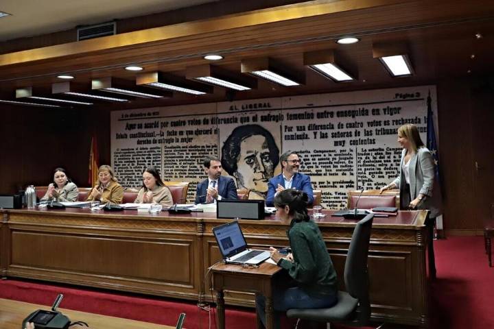 Amparo Torres, en la Comisión contra la Violencia de Género