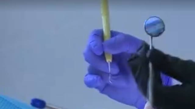 Dentistry college offers kids free post