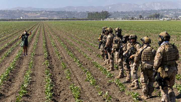 How the Trump administration’s ‘efficiency’ goals have exacerbated food waste