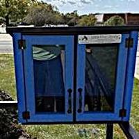Little free libraries in Newell Township
