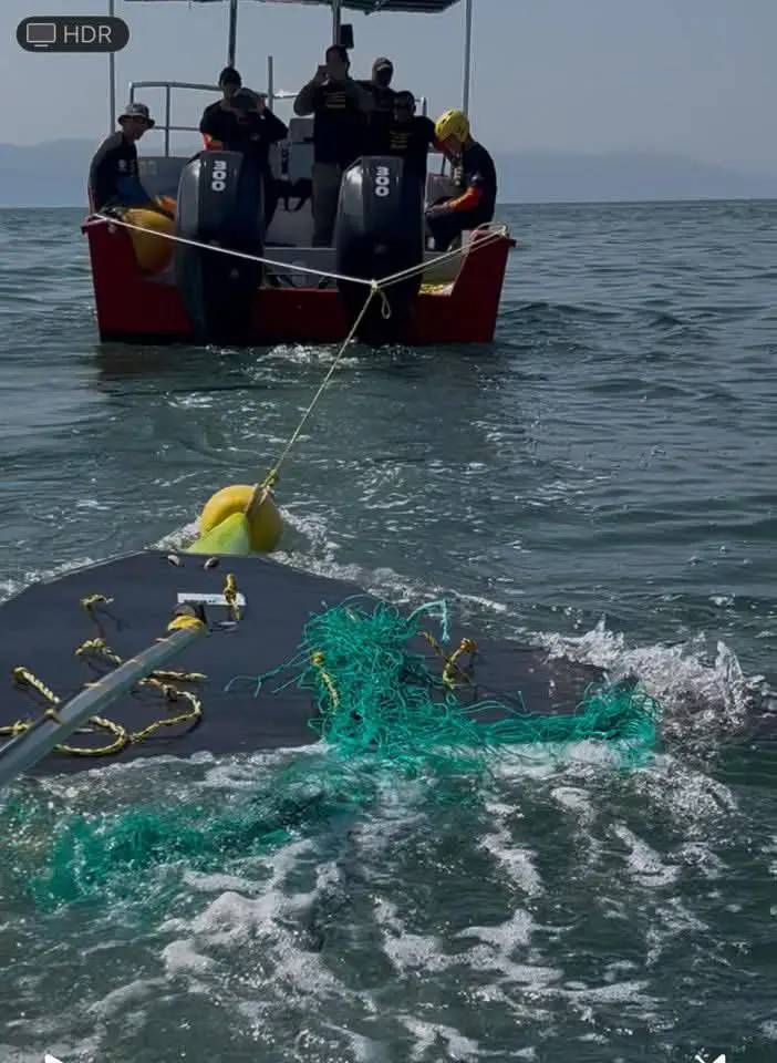 Participan elementos locales en práctica anual de rescate de ballenas enredadas