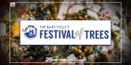 Baby Fold’s Festival of Trees transforms Interstate Center into holiday wonderland