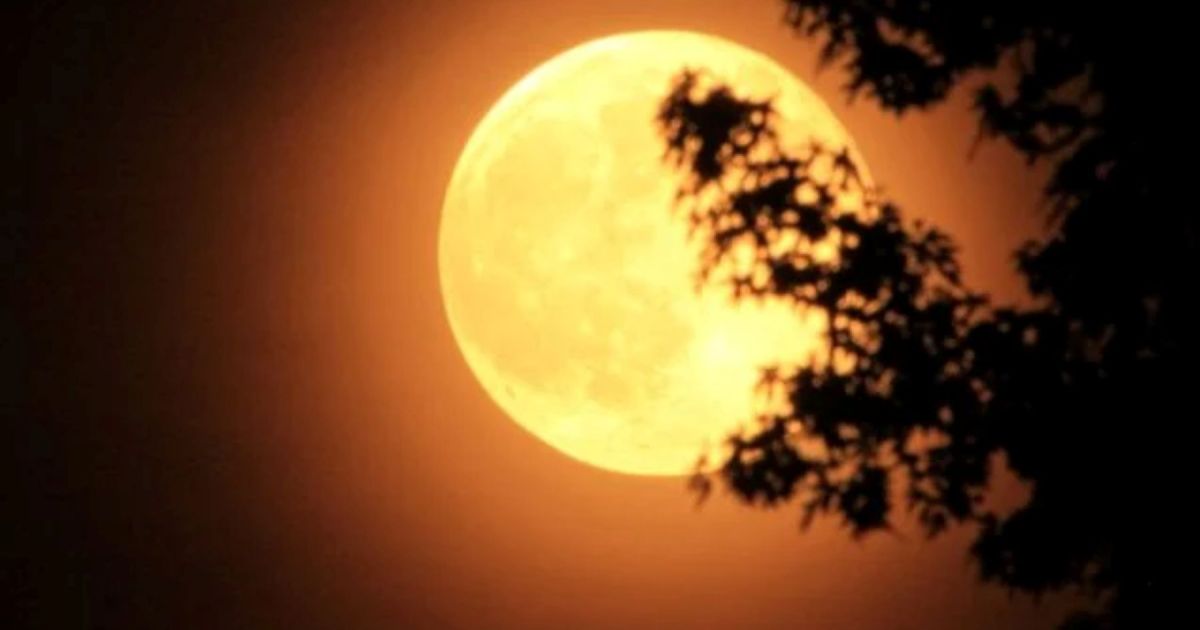 Miércoles de Superluna y lluvia de estrellas: a qué hora se podrá ver la luna más grande del año