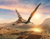 New Species of Flying Reptile Discovered in Overlooked Museum Fossil 
