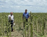 Producción relevó daños del temporal en Hermoso Campo