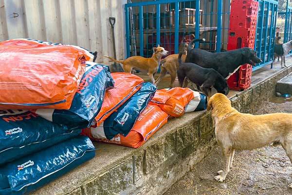 Alcaldía entrega 15 toneladas  de alimento para animales