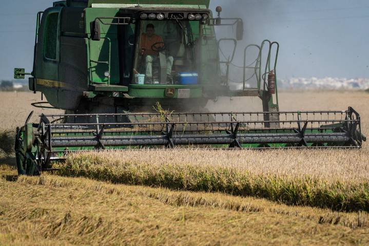 Las cifras del paro, desglosadas: sube el paro en Teruel y en el sector agrícola
